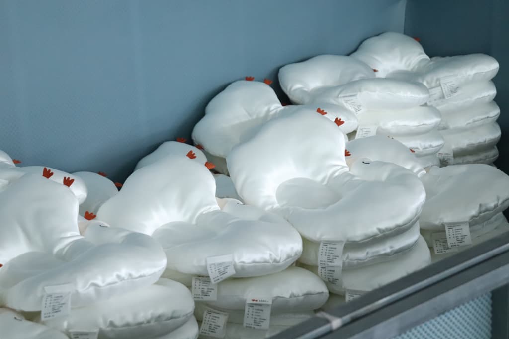 Age-Specific Children's Pillow Collection