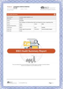 BSCI Audit Certification