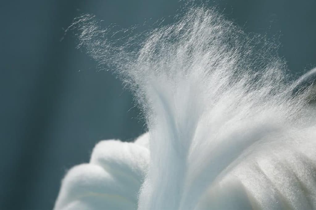 Breathable Air-Thru Filling