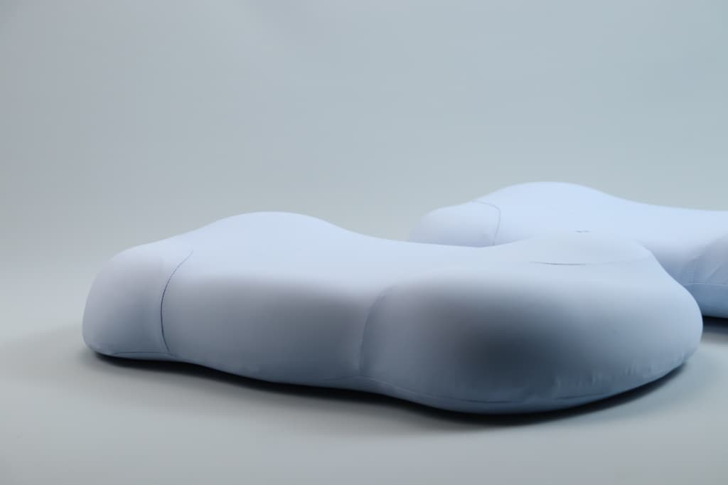 Bio-Based Memory Foam Core