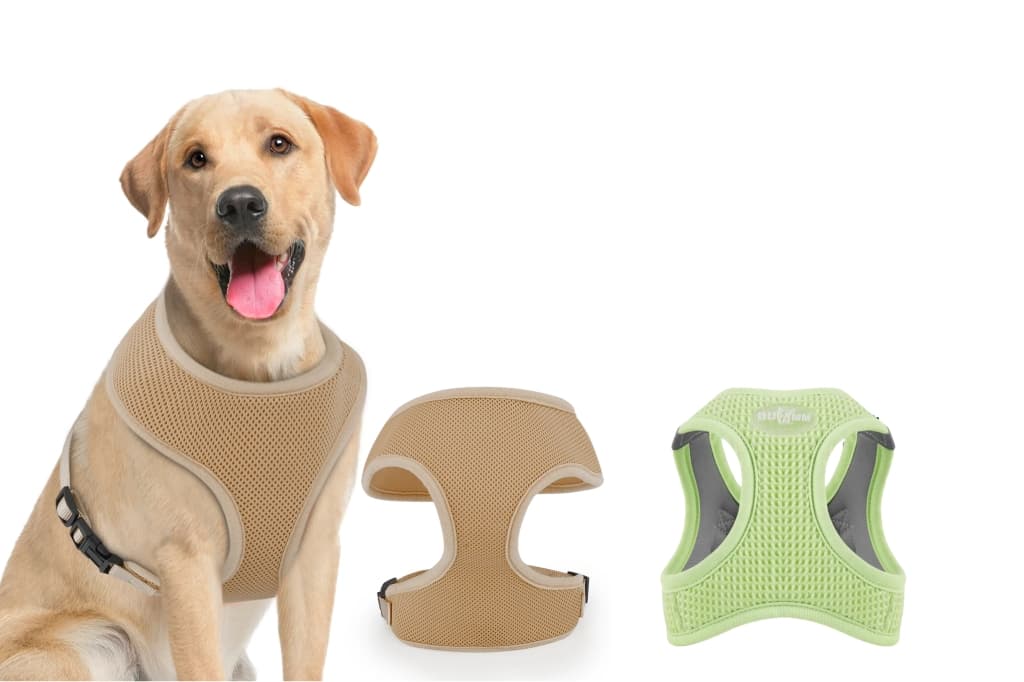 Pet product applications